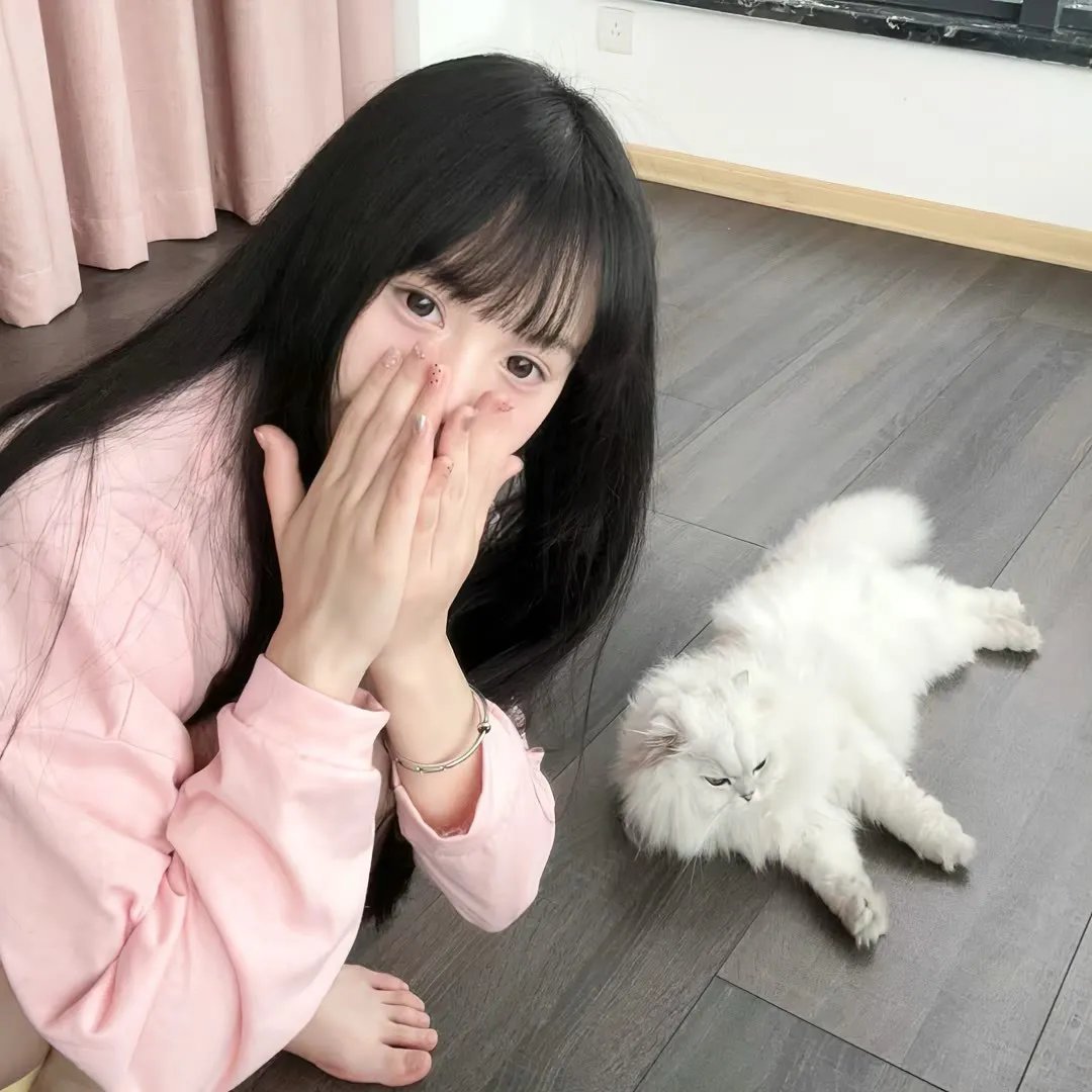 返航迷途